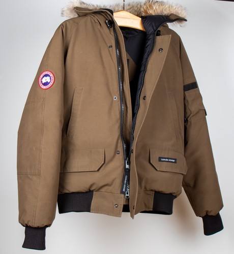 Canada goose