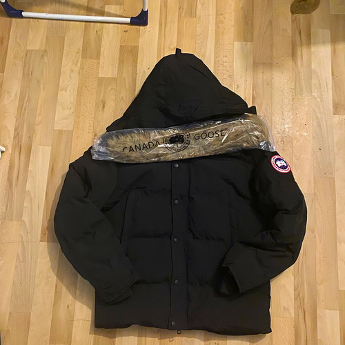 Canada goose arctic program - arctic,