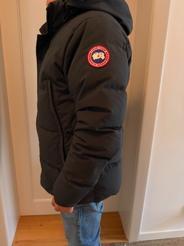 Canada goose wyndham - goose,