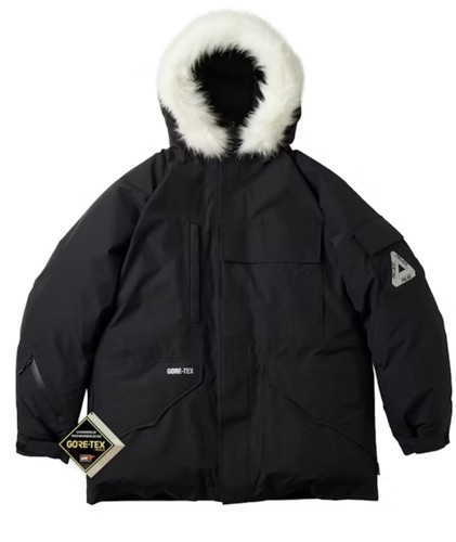 Palace gore tex down parka - gore-tex,