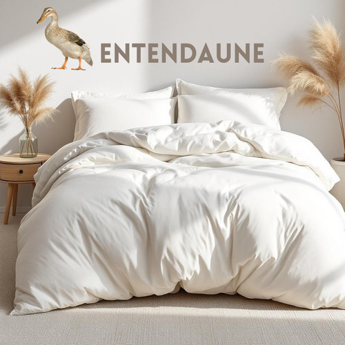 Extra warme daunen bettdecke - daunen,